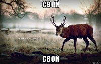 Свой Свой