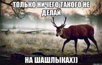 только ничего такого не делай на шашлыках))