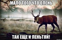 мало того что олень так еще и леньтяй!