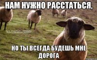 Нам нужно расстаться, но ты всегда будешь мне дорога