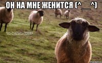 он на мне женится (^__^) 