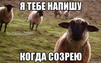 я тебе напишу когда созрею