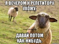 я вечером к репетитору ухожу, давай потом как-нибудь.