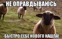 не оправдываюсь -быстро себе нового нашла!