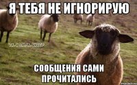 я тебя не игнорирую сообщения сами прочитались