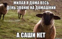 милая я дома весь день.звоню на домашний а саши нет