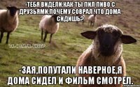 -тебя видели,как ты пил пиво с друзьями,почему соврал что дома сидишь? -зая,попутали наверное,я дома сидел и фильм смотрел.