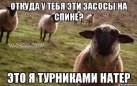 Откуда у тебя эти засосы на спине? Это я турниками натер