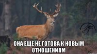  Она еще не готова к новым отношениям