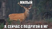 МИЛЫЙ Я, СЕЙЧАС С ПОДРУГОЙ В МГ