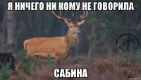 Я ничего ни кому не говорила Сабина