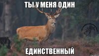 ТЫ у меня один Единственный