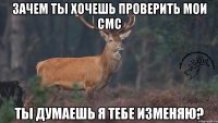 Зачем ты хочешь проверить мои Смс Ты думаешь я тебе изменяю?