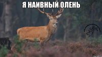 Я наивный олень 