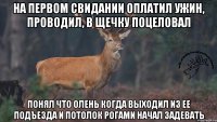 На первом свидании оплатил ужин, проводил, в щечку поцеловал Понял что олень когда выходил из ее подъезда и потолок рогами начал задевать