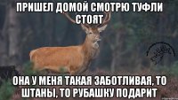 Пришел домой смотрю туфли стоят Она у меня такая заботливая, то штаны, то рубашку подарит