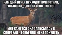 Каждый вечер приходит вся потная, уставшая, даже на секс сил нет Мне кажется она записалась в спортзал чтобы для меня похудеть