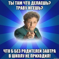 ты там что делаешь? траву жгешь? что б без родителей завтра в школу не приходил!