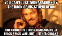 You can't just take Aragorn by the back of his stupid neck and knock his stupid head against a thick brick wall until either cracks