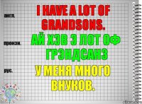 I have a lot of grandsons. ай хэв э лот оф грэндсанз У меня много внуков.