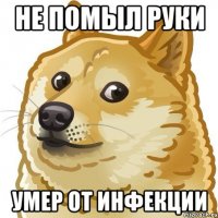 не помыл руки умер от инфекции