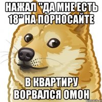 нажал "да мне есть 18" на порносайте в квартиру ворвался омон