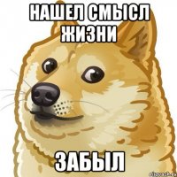 нашел смысл жизни забыл