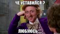 Че уставился ? Любуюсь.....