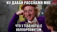 Ну давай расскажи мне что у тебя коты с коллорпоинтом