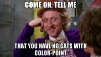 Come on, tell me that you have no cats with color-point