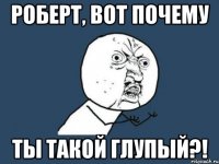 Роберт, вот почему ты такой глупый?!