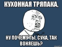 Кухонная тряпака, ну почему ты, сука, так воняешь?