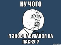 Ну чого я знов набухався на паску*?