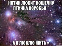 Котик любит кошечку птичка воробья** А я люблю жить =