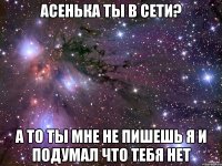 Асенька ты в сети? а то ты мне не пишешь я и подумал что тебя нет