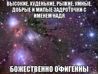 Высокие, худенькие, рыжие, умные, добрые и милые задроточки с именем Надя Божественно офигенны