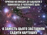 Приїхав на вихідні до бабушки з Іванковець в Черепівку, щоб віддихнути а замість цього заставили садити картошку