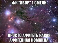 ФК "Явор" г.Смели Просто афигеть,какая афигенная команда