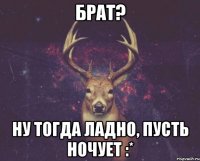 Брат? ну тогда ладно, пусть ночует :*