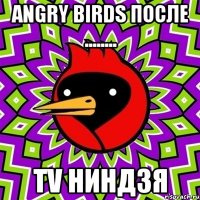 angry birds после ........ TV ниндзя