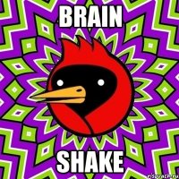 BRAIN SHAKE