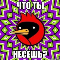 что ты несёшь?