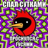 Спал сутками Проснулся с гусями