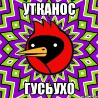 Утканос Гусьухо