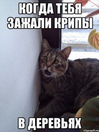 когда тебя зажали крипы в деревьях