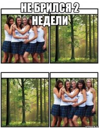 не брился 2 недели 