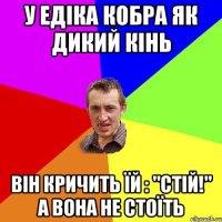 у едіка кобра як дикий кінь він кричить їй : "стій!" а вона не стоїть