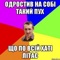 Одростив на собі такий пух що по всій хаті літає