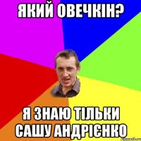 Який Овечкін? Я знаю тільки Сашу Андрієнко