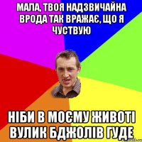 Мала, твоя надзвичайна врода так вражає, що я чуствую ніби в моєму животі вулик бджолів гуде